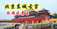 干美女穴视频中国北京-东城古宫旅游风景区